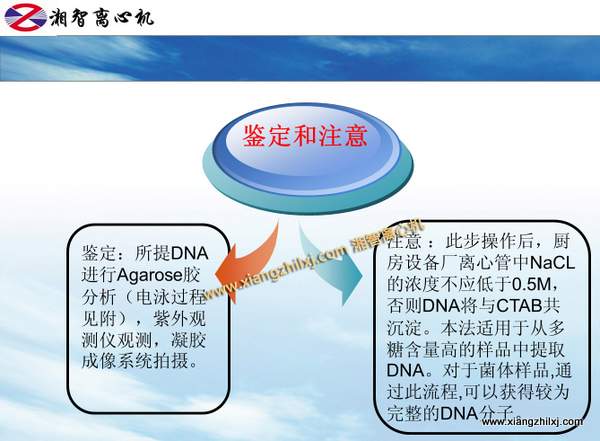 用高速離心機提取細(xì)菌DNA的課件