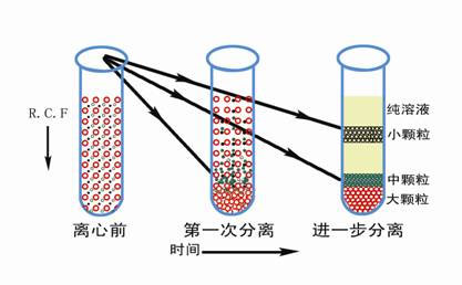 醫(yī)用離心機(jī)常用的離心方法